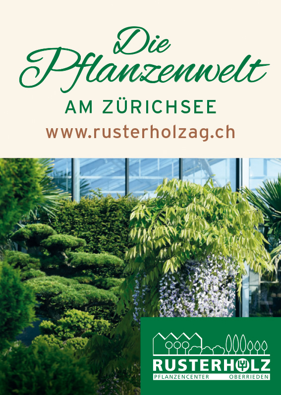 Die Pflanzenwelt am Zürichsee