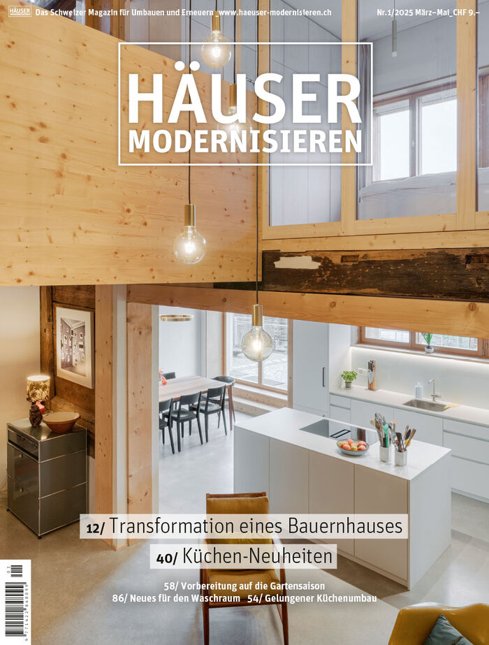 HÄUSER MODERNISIEREN